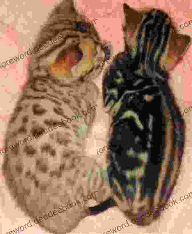 A Beautiful Bengal Cat Playing With A Kitten, Showcasing Their Striking Spotted Coat And Playful Nature. The Honest Bengal Cat Guide For Humans: Bengal Cat And Kitten Care: Bengal Cat And Kitten Guide Written By A Bengal Cat (The Honest Guide 1)