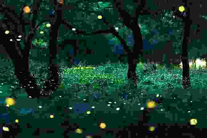A Captivating Image Of Fireflies Dancing Amidst The Flowers In The Friendship Garden, Creating A Magical Ambiance. Starry Skies And Fireflies (The Friendship Garden 5)