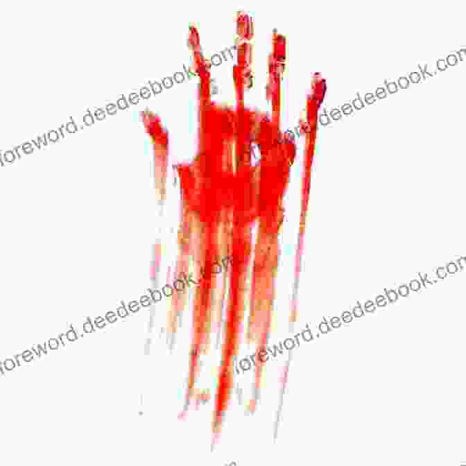 A Close Up Of Bloody Hands Dripping Red Liquid. Extreme Costume Makeup: 25 Creepy Cool Step By Step Demos