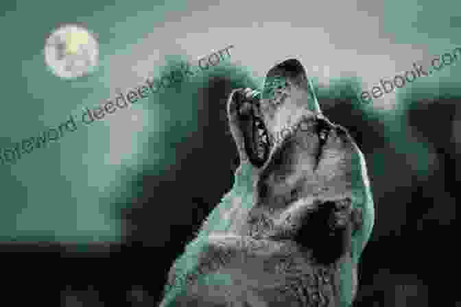 A Dog Howling At The Moon At Night Sleeps With Dogs: Tales Of A Pet Nanny At The End Of Her Leash