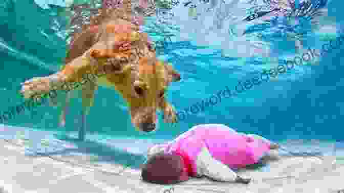 A Dog Saving A Child From Drowning Sleeps With Dogs: Tales Of A Pet Nanny At The End Of Her Leash
