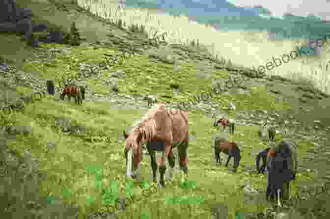 A Group Of Horses Grazing In A Pasture Crazy Horse: 3 (Horses Of Half Moon Ranch)