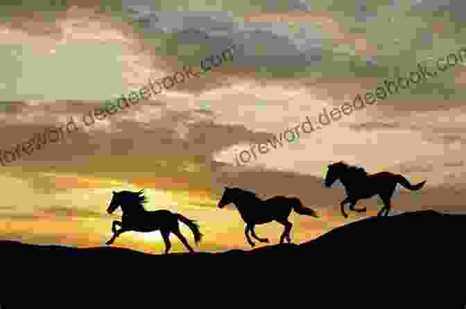 A Herd Of Wild Horses Silhouetted Against The Sunset Wild Horses: 1 (Horses Of Half Moon Ranch)