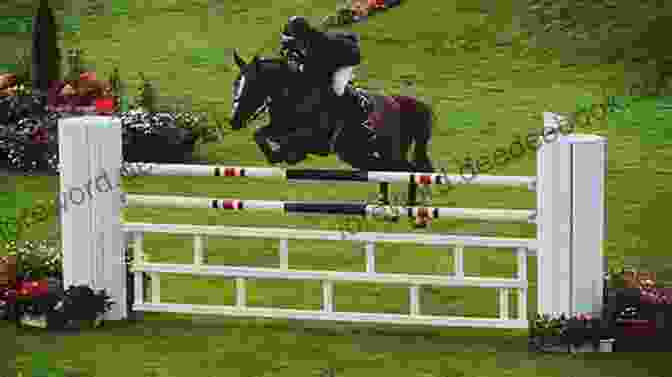 A Horse Jumping Over A Fence Crazy Horse: 3 (Horses Of Half Moon Ranch)