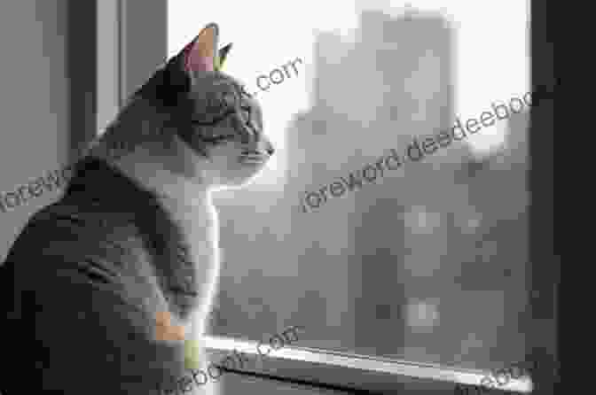 A Tabby Cat Perched On A Windowsill, Gazing Out At The City Skyline. The Cat And The City