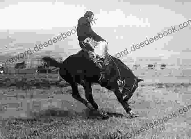A Vintage Photograph Of Steamboat Charlie, A Famous Rodeo Cowboy, Mounted On A Horse. Steamboat Charlie: 16 (Horses Of Half Moon Ranch)
