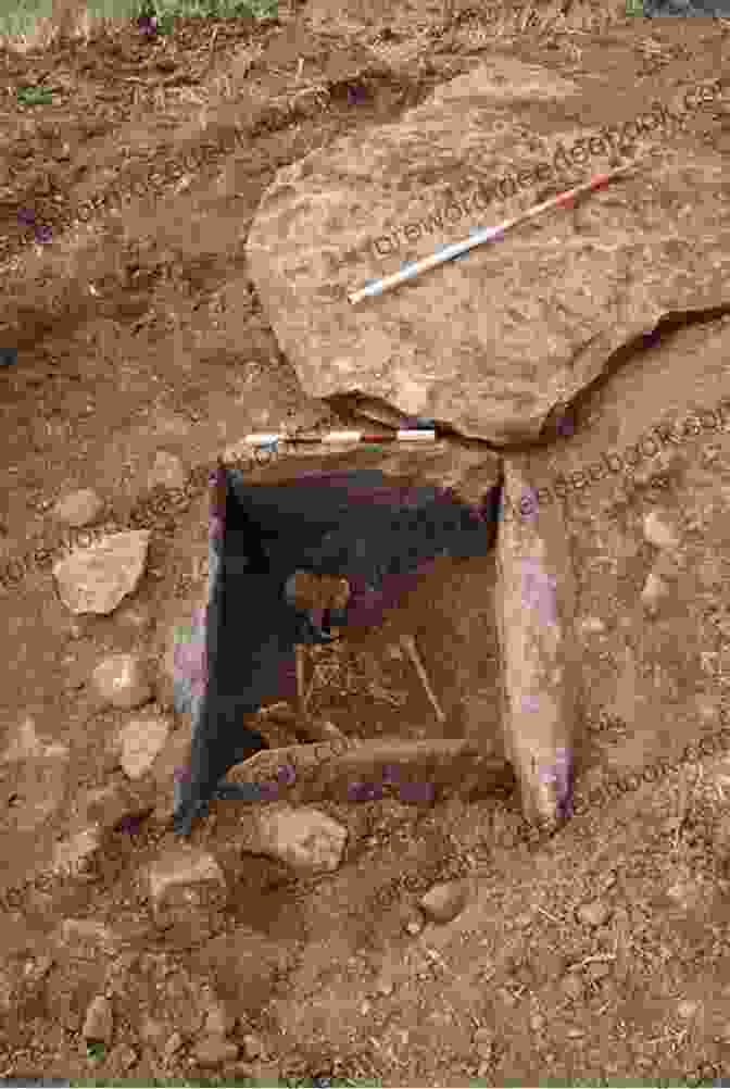 Bronze Age Grave At Faye Longchamp Burials (Faye Longchamp Archaeological Mysteries 10)