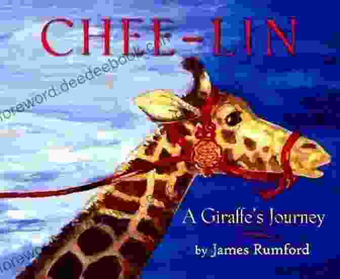 Chee Lin As A Calf Chee Lin The Story Of A Giraffe