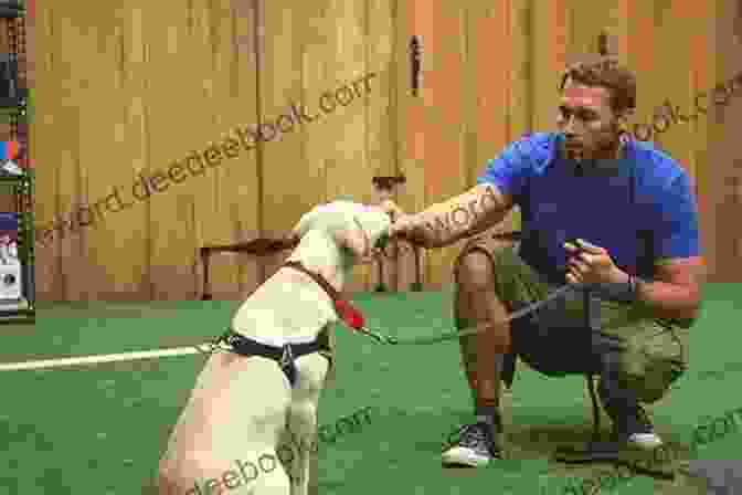 Dog Trainer Working With Puppy A Story About Human Canine Companionship: The Healing And Introspection A Dog Can Provide To A Human: On Human Canine Bonding