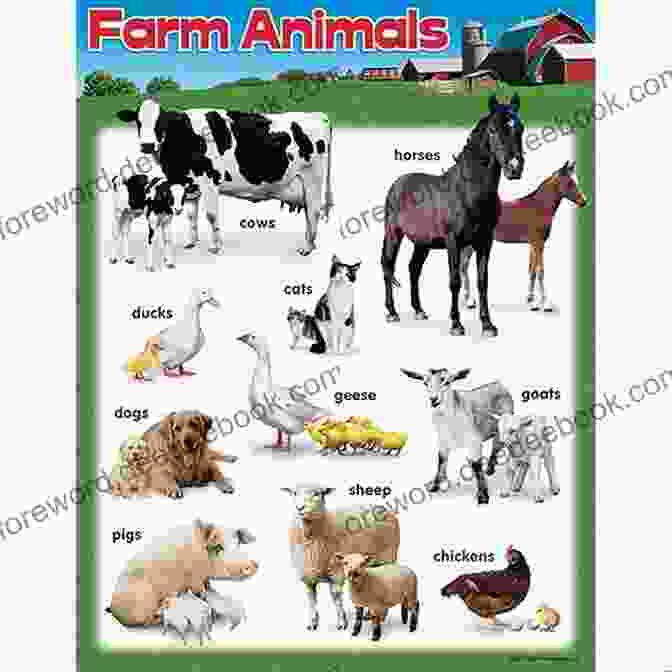 Educational Opportunities For Learning About Farm Life, Animals, And Nature My Big Wimmelbook On The Farm (My Big Wimmelbooks)