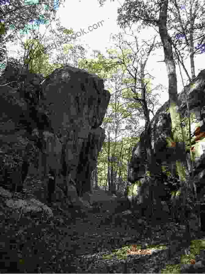 Elephant Rocks, A Massive Granite Formation In Missouri's Taum Sauk Mountain State Park, Inspires Contemplation And Artistic Expression. Elephant Rocks: Poems Kay Ryan