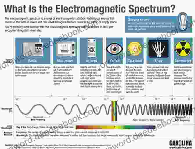 Infographic Of The Electromagnetic Spectrum Energy And Waves Through Infographics (Super Science Infographics)