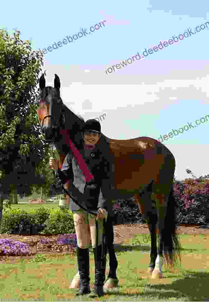 Lady Roseanne And Her Half Arabian Horse Lady Roseanne: 15 (Horses Of Half Moon Ranch)
