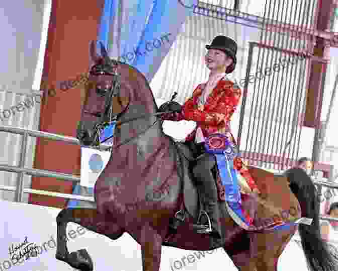 Lady Roseanne Woolman At A Horse Show Lady Roseanne: 15 (Horses Of Half Moon Ranch)