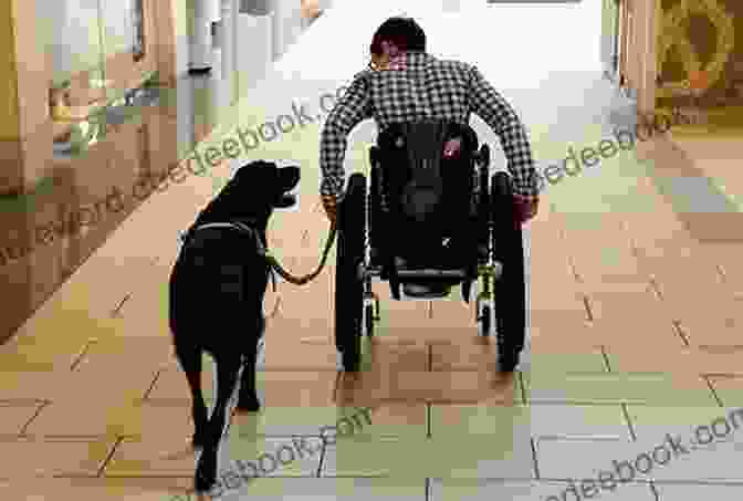 Service Dog Assisting Person With Disability A Story About Human Canine Companionship: The Healing And Introspection A Dog Can Provide To A Human: On Human Canine Bonding