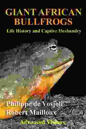 Giant African Bullfrogs: Life History And Captive Husbandry