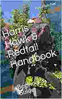 Harris Hawk Redtail Handbook: Beginner S Guide
