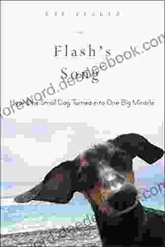 Flash S Song: How One Small Dog Turned Into One Big Miracle