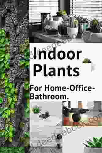 Indoor Plants For Home Office Batheroom