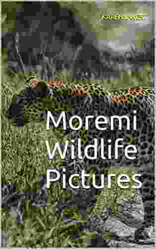 Moremi Wildlife Pictures: Dream Trip Of A Lifetime