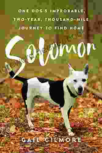 Solomon: One Dog S Improbable Two Year Thousand Mile Journey To Find Home
