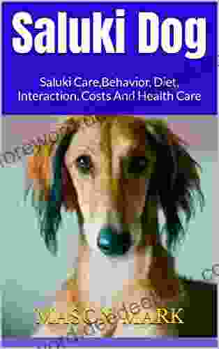 Saluki Dog : Saluki Care Behavior Diet Interaction Costs And Health Care
