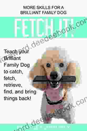 Fetch It : Teach Your Brilliant Family Dog To Catch Fetch Retrieve Find And Bring Things Back