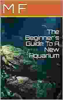 The Beginner S Guide To A New Aquarium