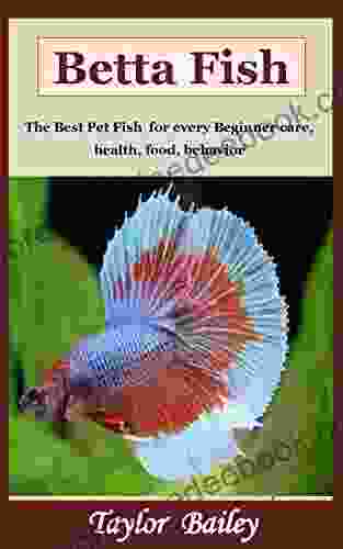 Betta Fish: The Best Pet Fish For Every Beginner Care Health Food Behavior