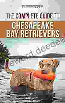The Complete Guide To Chesapeake Bay Retrievers: Training Socializing Feeding Exercising Caring For And Loving Your New Chessie Puppy