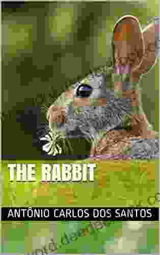The Rabbit (The Cutest Pets On The Planet Collection 6)