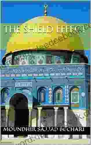 The Shield Effect Federiga Bindi