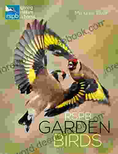 RSPB Garden Birds (RSPB Spotlight)