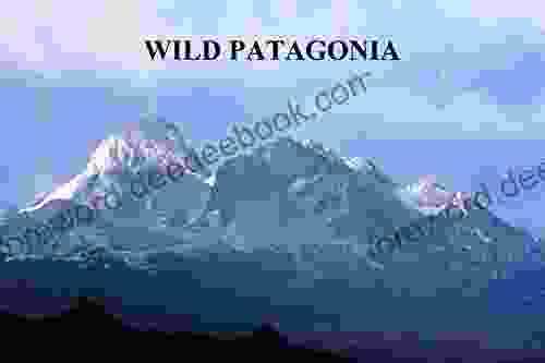 Wild Patagonia Derek Miller